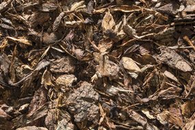 View the Decorative Bark Mulch online at Scotbark UK