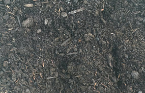View the Organic Peat-Free Compost online at Scotbark UK