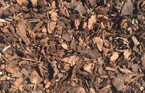 View the Ornamental Bark Chips online at Scotbark UK