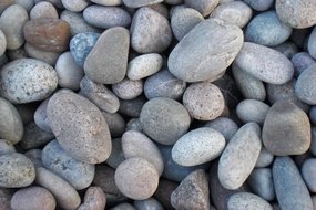 View the Scottish Beach Pebbles (30-50mm) online at Scotbark UK