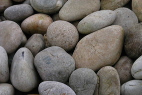 View the Scottish Large Beach Pebbles (50-75mm) online at Scotbark UK